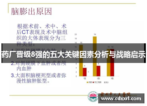 药厂晋级8强的五大关键因素分析与战略启示 药厂晋级8强的五大关键因素分析与战略启示