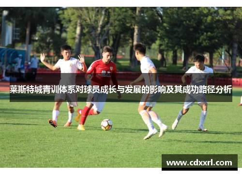 莱斯特城青训体系对球员成长与发展的影响及其成功路径分析