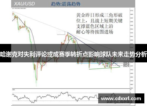 哈谢克对失利评论或成赛季转折点影响球队未来走势分析